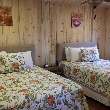Bluff Gardens Guest House Luaran gambar